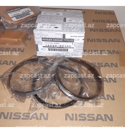 Infiniti (S50; 2003-08) koltsa std 3.5 motor 120338J100